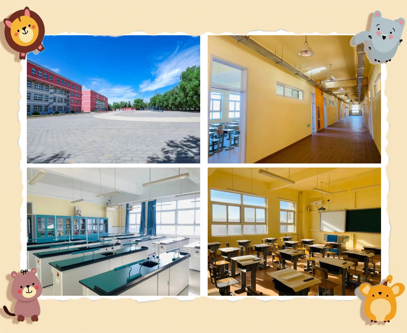 北京市朝阳区博雅学校(北京市朝阳区博雅学校官网)